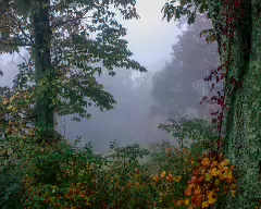1 overlook_fog1