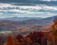 fall 2009_2