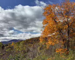 fall 2011_1