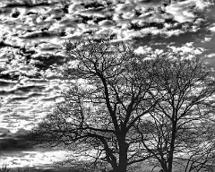 bw_clouds_2
