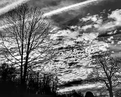 did61_bfp_031209_cloud bw