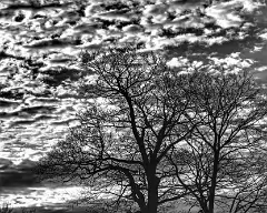 did62_bfp_031209_clouds_bw2