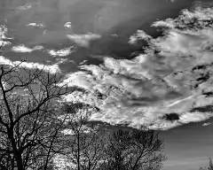 did63_bfp_031209_clouds_3 bw