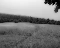 dreams of yesterday past