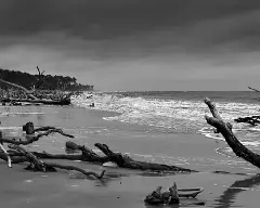 hunting island beach_bw