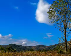 btree_helipad_101516