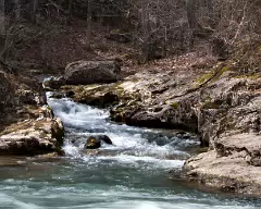 aqua into bullpasture